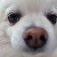 author photo