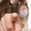 author photo