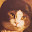 @局長低浮上-t