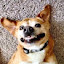 author photo