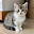 @砂猫..665