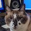 author photo