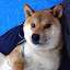 author photo