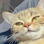 author photo