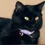 author photo