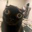 author photo