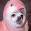 author photo