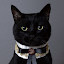 author photo