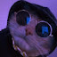 author photo