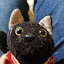 author photo