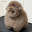 @user-mogumogu029