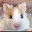 @Hiro-zm8jj