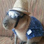 author photo