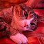 author photo