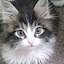 author photo