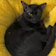 author photo