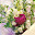 @suzuran__5
