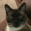 author photo