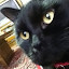 author photo