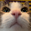 author photo