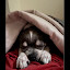 author photo