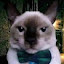 author photo
