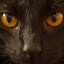 author photo