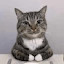 author photo