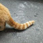 author photo