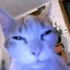 author photo