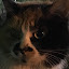 author photo