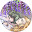 @ranko1129