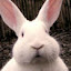 author photo