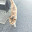 @まよいねこ-d2b