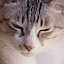 author photo