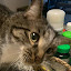 author photo