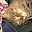 @薬草-q7q