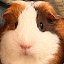 author photo