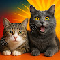 FunnyCat World