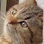 author photo
