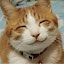 author photo