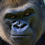 author photo