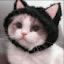 author photo