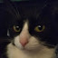 author photo