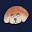@inu-chan-man