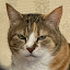 author photo