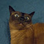 author photo