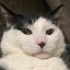 author photo