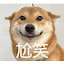 author photo