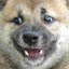 author photo